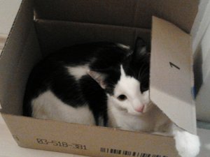 2013-01-11 16.40.59.jpg