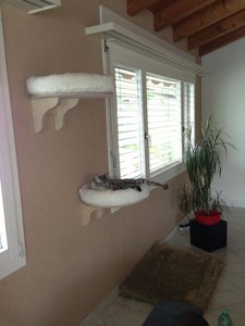 ImageUploadedByTapatalk 21370799458.576616.jpg