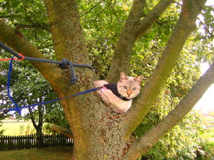 Ausgang 12.09.2008 186.jpg