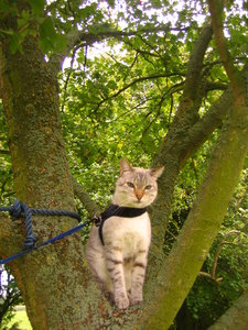 Urlaub  12.09.2008 201.jpg