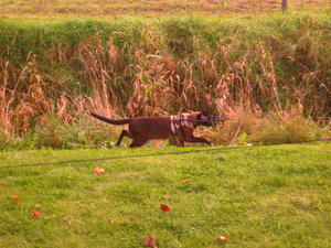 Ausgang 12.09.2008 059.jpg