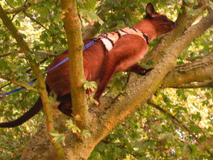 Ausgang 12.09.2008 046.jpg