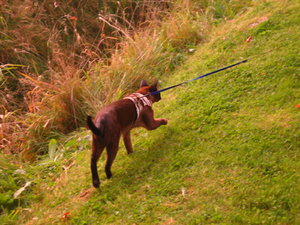 Ausgang 12.09.2008 048.jpg