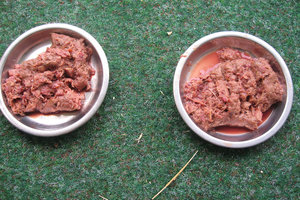 2013-06-11 17.32.38.jpg