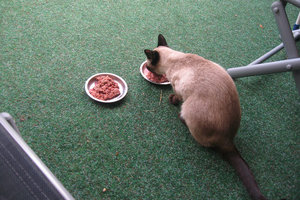 2013-06-11 17.33.55.jpg