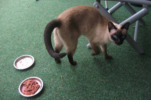 2013-06-11 17.40.02.jpg