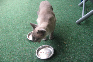 2013-06-11 17.45.11.jpg