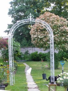 IMGP2013 (600x800).jpg