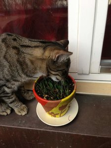 ImageUploadedByTapatalk 21371061353.586781.jpg