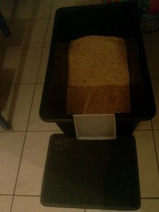 gefüllt von unten (600x800).jpg