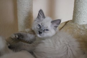 IMG_3054.jpg IMG_3054.jpg