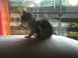 Helmi und die anderen Racker 148.jpg