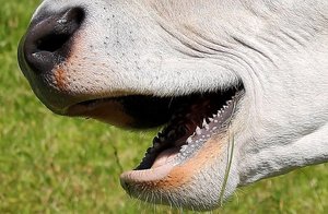 ImageUploadedByTapatalk 21371410553.105151.jpg