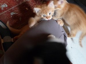 Kopie von P1050571.JPG