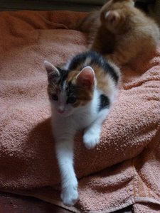 Kopie von P1050587.JPG