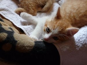 Kopie von P1050509.JPG