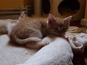 Kopie von P1050462.JPG