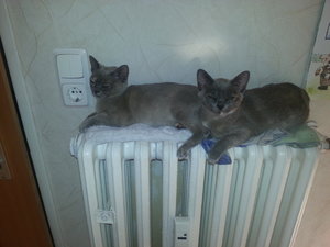 20130607_184149 (1).jpg