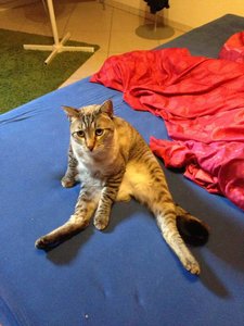 ImageUploadedByTapatalk 21371492367.273671.jpg