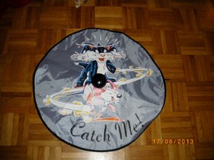 IMGP2262 (1024x768).jpg