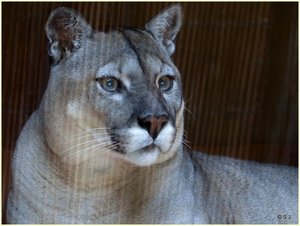 ImageUploadedByTapatalk 21371502339.408726.jpg