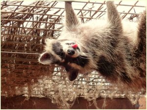 ImageUploadedByTapatalk 21371502364.690719.jpg