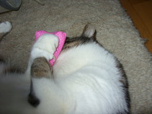 Will nicht fotografiert werden.JPG