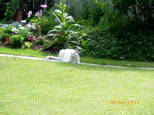 IMGP2288 (1024x765).jpg