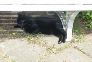 IMGP2290 (1024x698).jpg