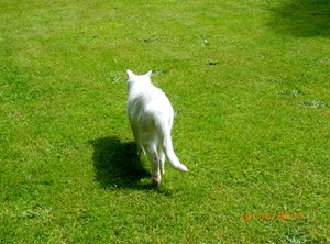 IMGP2291 (1024x755).jpg