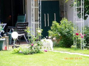 IMGP2292 (1024x757).jpg