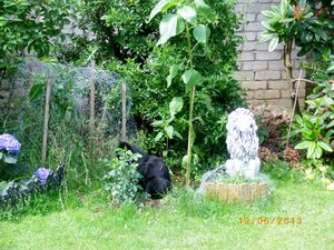 IMGP2294 (1024x768).jpg