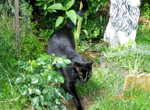 IMGP2296 (1024x752).jpg