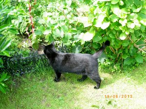 IMGP2298 (1024x766).jpg