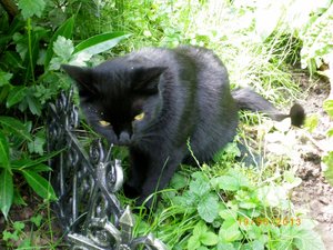 IMGP2300 (1024x766).jpg