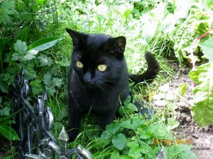 IMGP2301 (1024x765).jpg