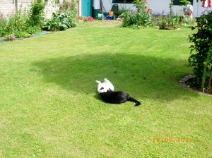 IMGP2302 (1024x763).jpg