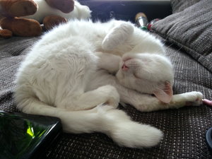 2013-05-12 16.57.21.jpg