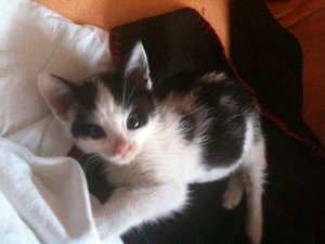 Miezmaus Kinder 21.o6.2o13 183.jpg