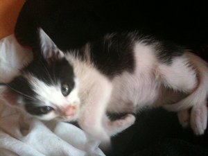 Miezmaus Kinder 21.o6.2o13 199.jpg