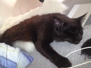 IMG_1687 (Medium).JPG