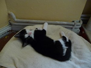 Kopie von P1050657.JPG