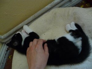 Kopie von P1050659.JPG