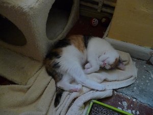 Kopie von P1050660.JPG