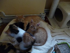 Kopie von P1050671.JPG