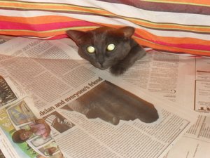 Frau Schnäpperich1.JPG