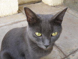 NeuesvonderSüßen 002.jpg