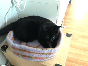 ImageUploadedByTapatalk 21372092172.106665.jpg