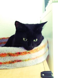 ImageUploadedByTapatalk 21372092218.773755.jpg