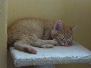 Kopie von P1050684.JPG